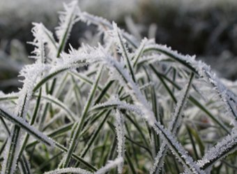 Гидрометцентр предупредил о заморозках и дожде со снегом