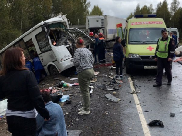 Авария с автобусом под Ярославлем сегодня, 14 сентября: 8 человек погибли (ВИДЕО)