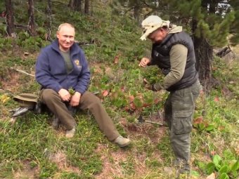 Видео похода Путина и Шойгу за грибами в тайгу появилось в Сети
