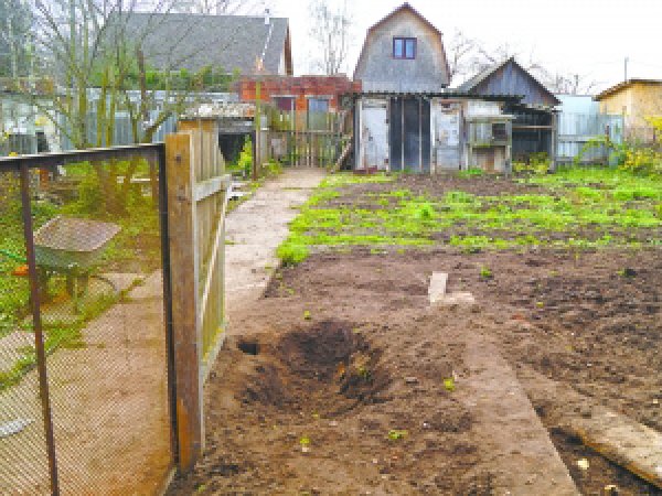 В Калужской области 20-летний парень изнасиловал, убил и закопал пенсионерку на ее же даче