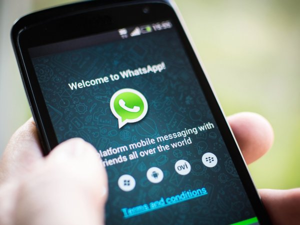 СМИ: у миллионов пользователей по всему миру с 2020 года перестанет работать WhatsApp