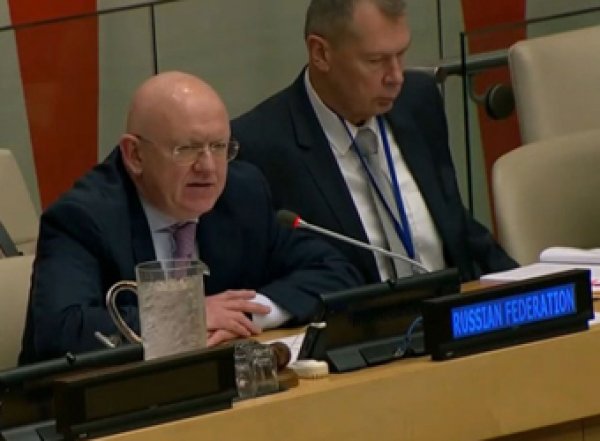 Россия представила Совбезу ООН доказательства фальсификации химатаки в сирийской Думе