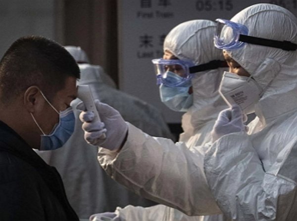 В Китае нашли главного разносчика коронавируса