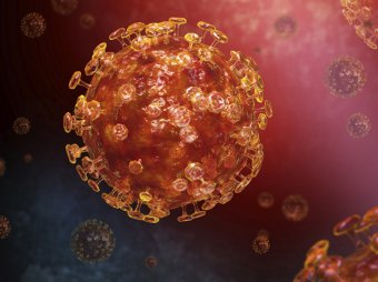 Астрологи назвали знаки Зодиака с самым крепким иммунитетом, которым не страшен коронавирус
