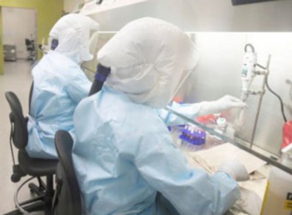 СМИ: коронавирус вырвался из секретной лаборатории, работавшей в 300 метрах от рынка в Ухане