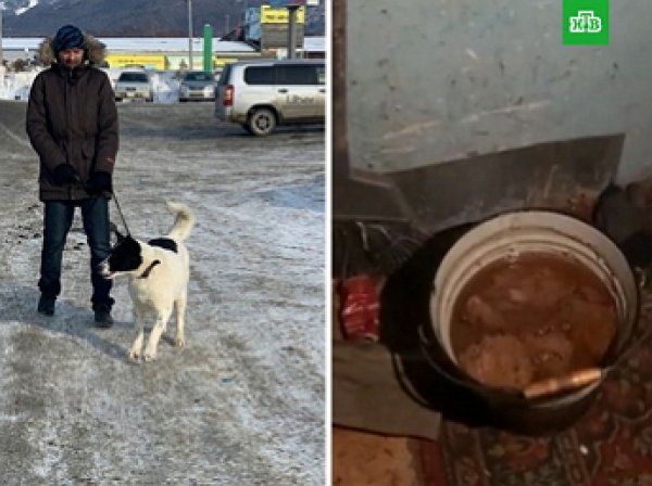 Жители Сахалина съели собаку, взятую из приюта