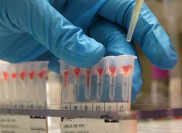 Ученые назвали самую уязвимую для коронавируса группу крови