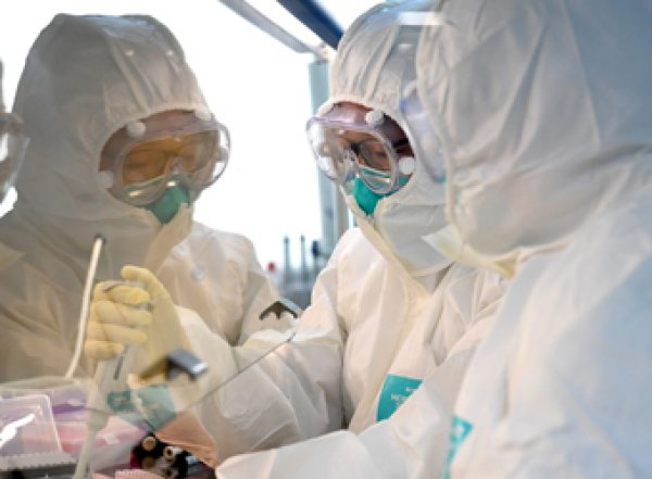 СМИ: обнаружены новые факты искусственного происхождения коронавируса