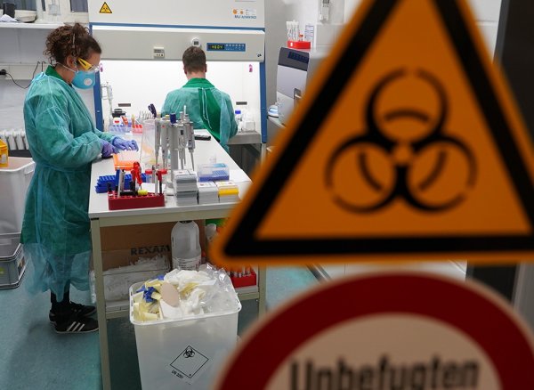 Убивающее коронавирус за 48 часов лекарство из Австралии оказалось ветеринарным