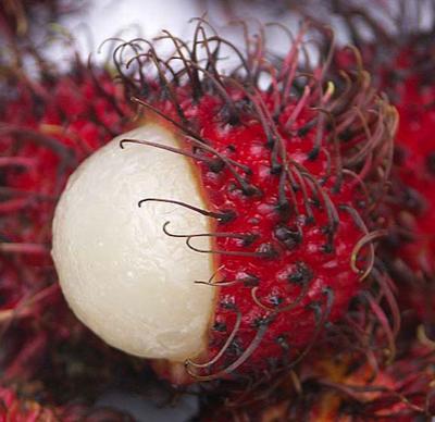 Топ-20 самых экзотических фруктов мира