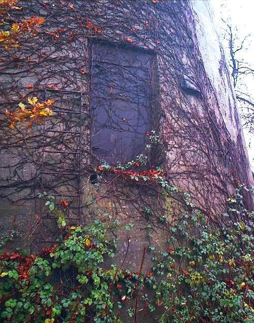 Фаллический символ третьего Рейха