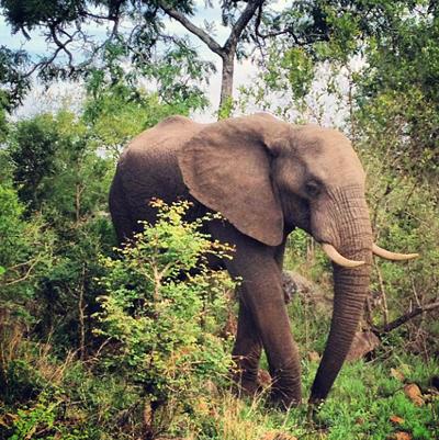 Последние фотографии звезд из Твиттеров