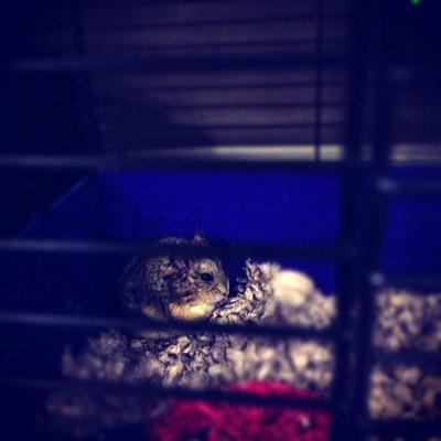 Последние фотографии звезд из Твиттеров