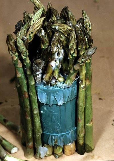 Топ-40 самых необычных способов контрабанды наркотиков