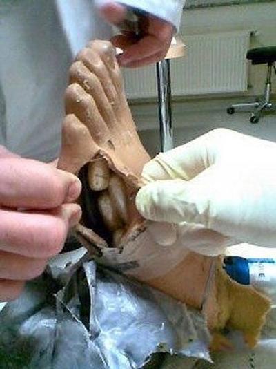 Топ-40 самых необычных способов контрабанды наркотиков