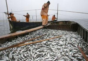 10 профессий, которые запрещены российским женщинам