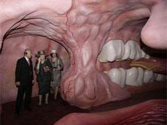 Экскурсантам предлагают совершить путешествие внутри человеческого тела