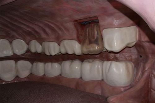 Экскурсантам предлагают совершить путешествие внутри человеческого тела