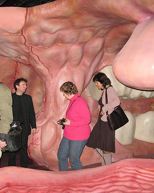 Экскурсантам предлагают совершить путешествие внутри человеческого тела