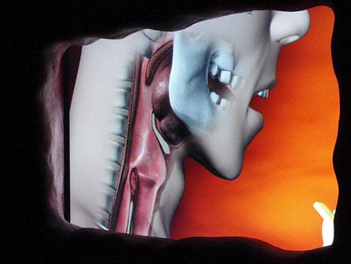 Экскурсантам предлагают совершить путешествие внутри человеческого тела