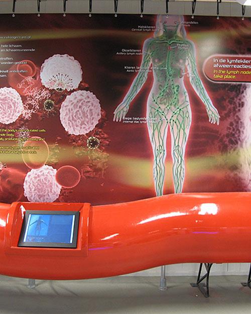 Экскурсантам предлагают совершить путешествие внутри человеческого тела