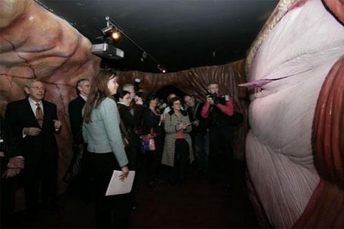 Экскурсантам предлагают совершить путешествие внутри человеческого тела