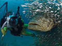 Nature’s Best Photography Awards: лучшие фото за 10 лет