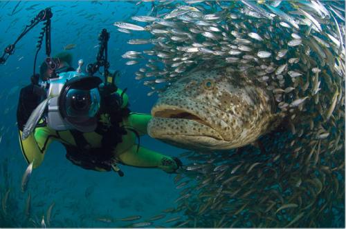 Nature’s Best Photography Awards: лучшие фото за 10 лет