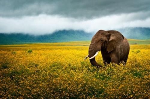 Лучшие фотографии 2010 года по версии PhotoRadar