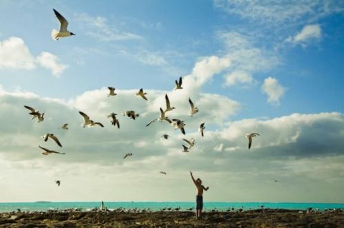 Лучшие фотографии 2010 года по версии PhotoRadar