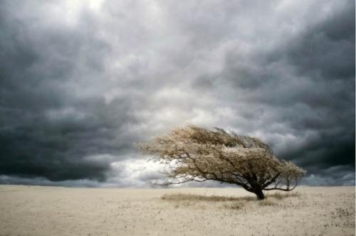 Лучшие фотографии 2010 года по версии PhotoRadar