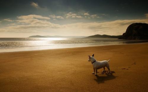 Лучшие фотографии 2010 года по версии PhotoRadar