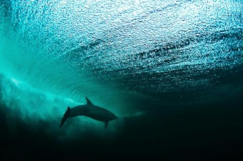 Лучшие фотографии 2010 года по версии PhotoRadar