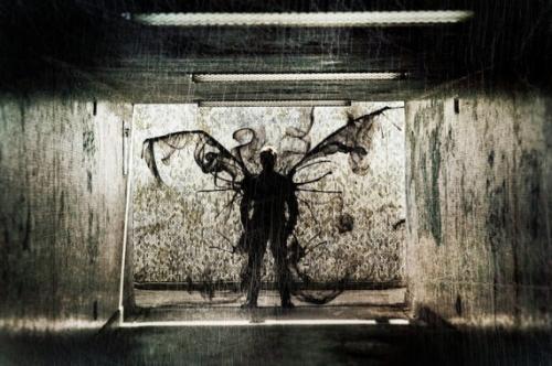 Лучшие фотографии 2010 года по версии PhotoRadar