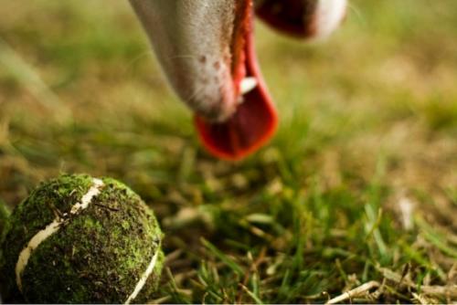 Лучшие фотографии 2010 года по версии PhotoRadar