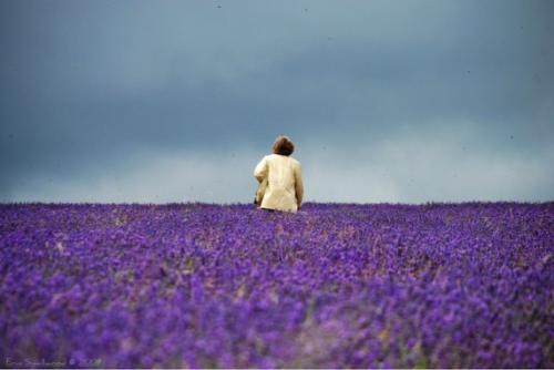 Лучшие фотографии 2010 года по версии PhotoRadar