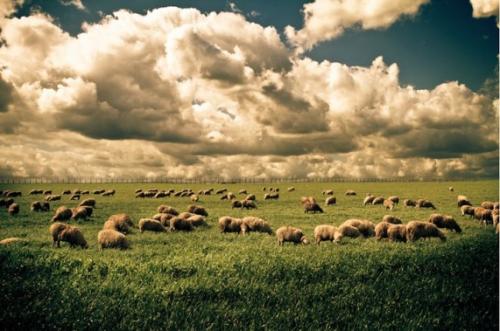 Лучшие фотографии 2010 года по версии PhotoRadar