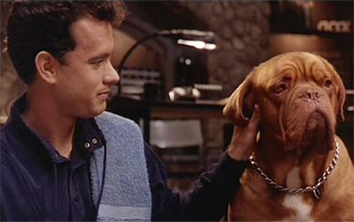 Жизнь на экране: 44 роли Тома Хэнкса