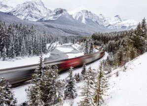 Международный конкурс фотографии от журнала Smithsonian 2019