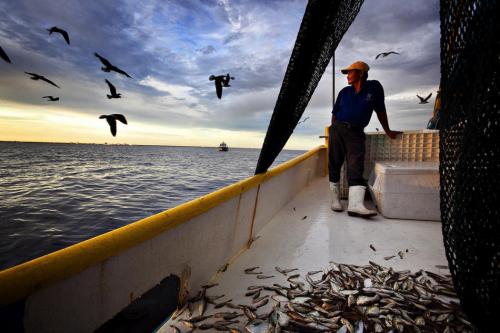 Лучшие репортажные фотографии 2010 года