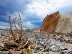 Долина Смерти в Калифорнии бурлит жизнью