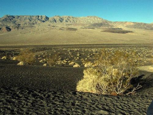 Долина Смерти в Калифорнии бурлит жизнью