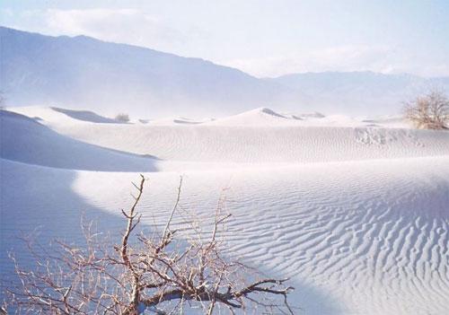 Долина Смерти в Калифорнии бурлит жизнью
