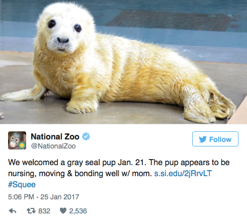 Зоопарки со всего мира устроили конкурс на самое милое фото животных