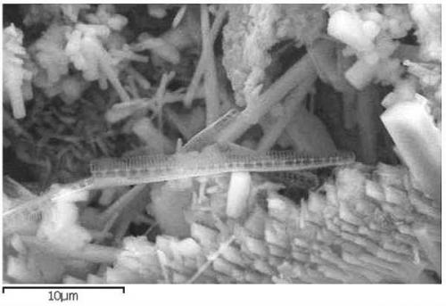 Артефакты, которые могли оставить на земле пришельцы