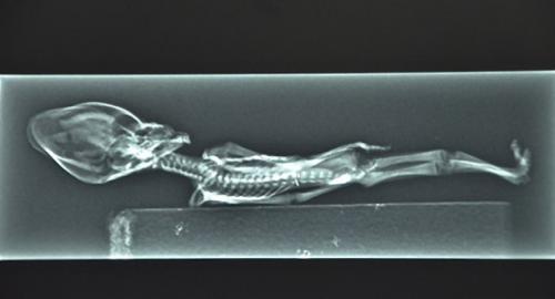 Артефакты, которые могли оставить на земле пришельцы