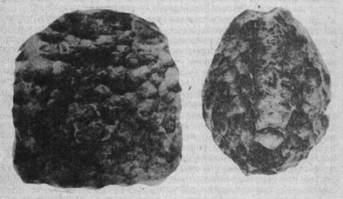 Артефакты, которые могли оставить на земле пришельцы