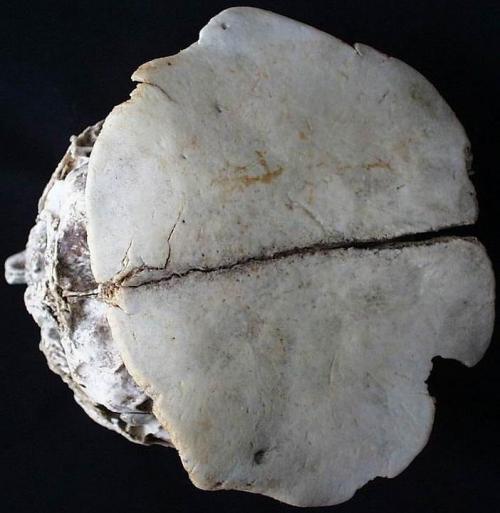 Артефакты, которые могли оставить на земле пришельцы