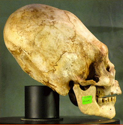 Артефакты, которые могли оставить на земле пришельцы