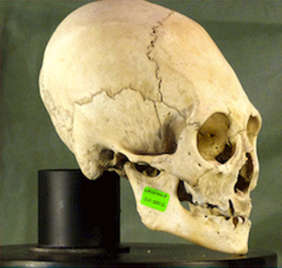 Артефакты, которые могли оставить на земле пришельцы